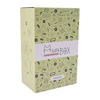 Подарочный набор MilotaBox mini Flower Box iLikeGift MBS022